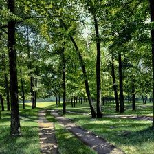 Схема вышивки «в лесу»