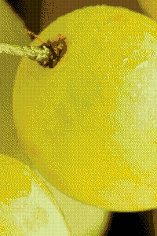 виноград - на кухню, фрукты, ягоды - предпросмотр