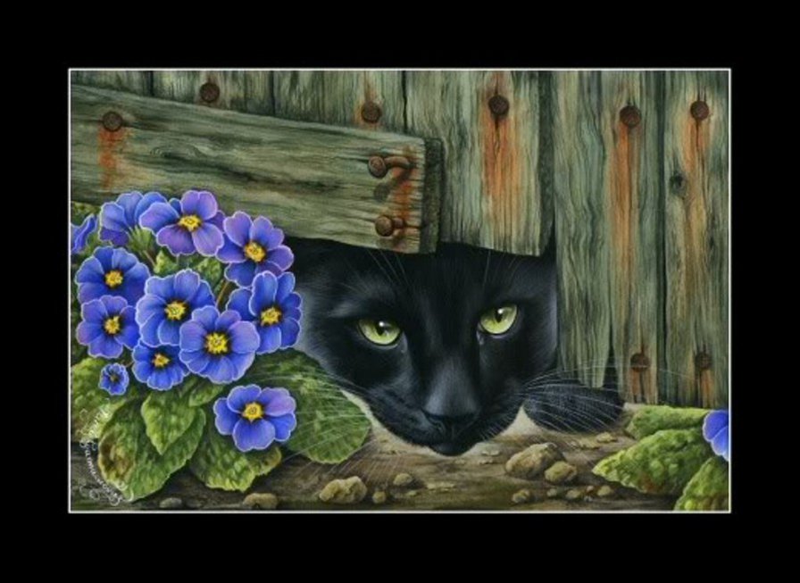 в гости можна? - котики, кот, коты - оригинал