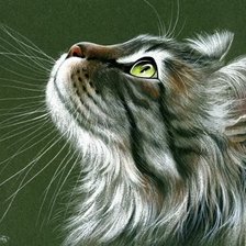 Схема вышивки «любопытный»