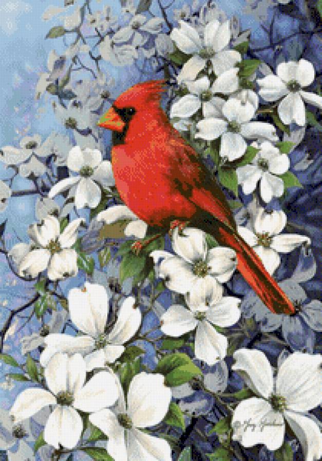 №831521 - предпросмотр