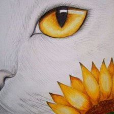 Схема вышивки «№831522»