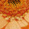 Предпросмотр схемы вышивки «гербера» (№831539)