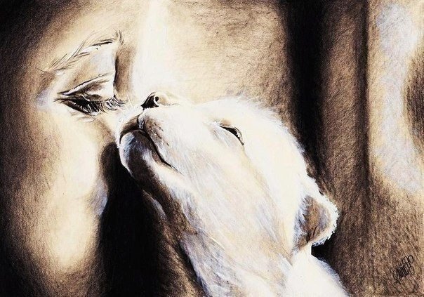 нежность - животные, девушка, котик - оригинал