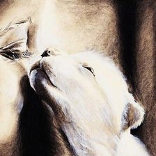 Схема вышивки «нежность»