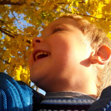 Схема вышивки «Сын»