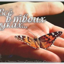 Схема вышивки «№831929»