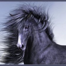 Схема вышивки «скакун»