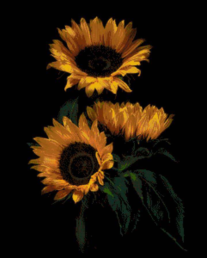 подсолнухи - предпросмотр