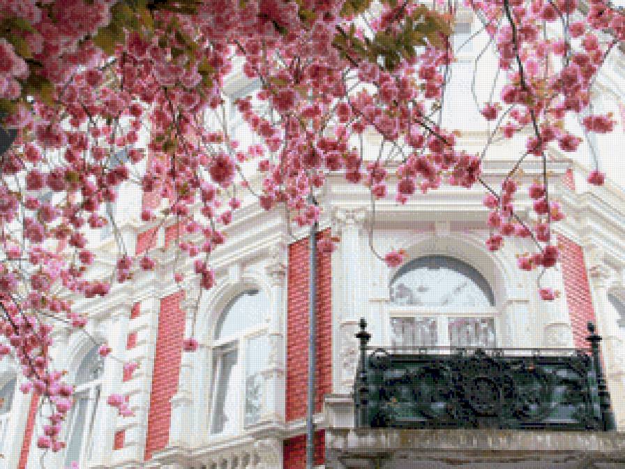 весна в городе - предпросмотр