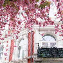 весна в городе