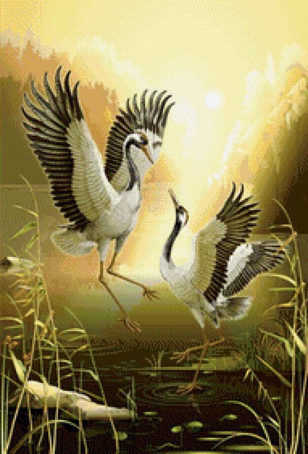 Танцующие журавли - предпросмотр