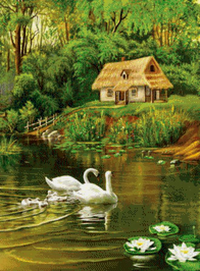 Семья лебедей - предпросмотр