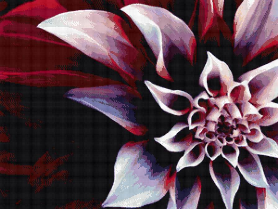 Цветок - цветы - предпросмотр