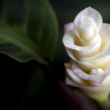 Схема вышивки «Цветок»