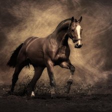 Схема вышивки «Лошадь»