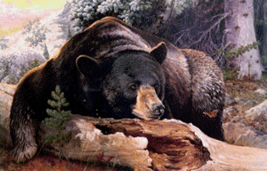 мишка - природа, животные, лес, медведь, бабочка - предпросмотр