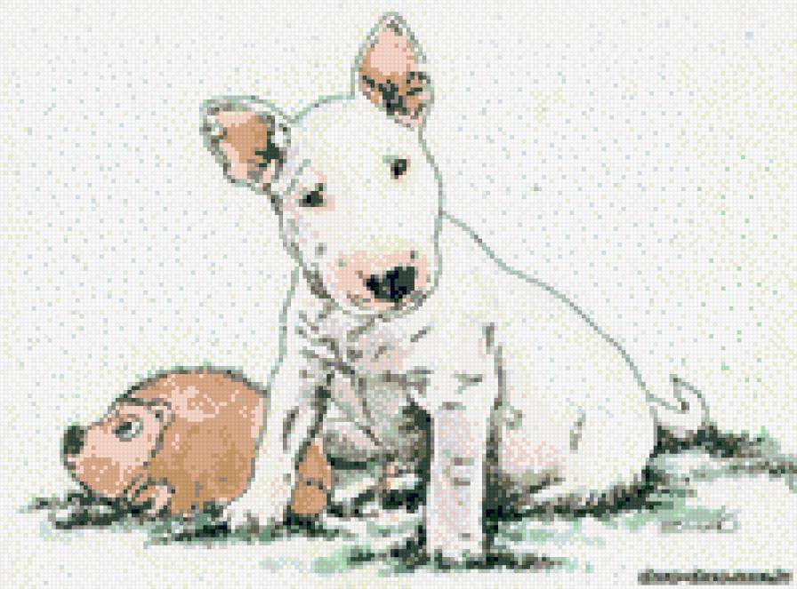 бультерьер - собаки - предпросмотр