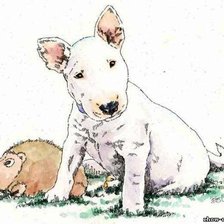 бультерьер