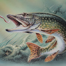 Схема вышивки «щука»