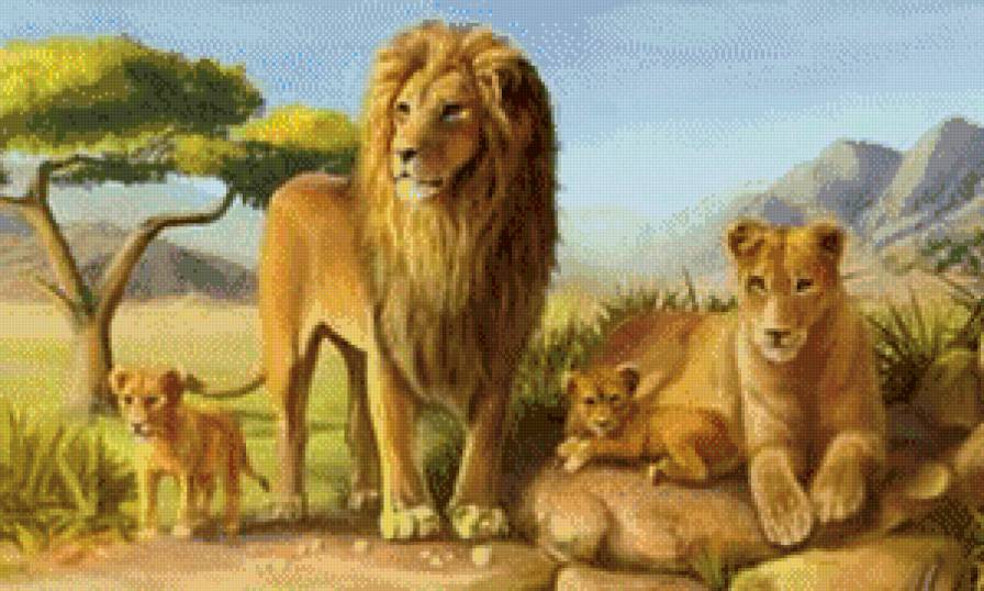 львы - предпросмотр