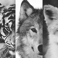 Схема вышивки «Спокойствие»