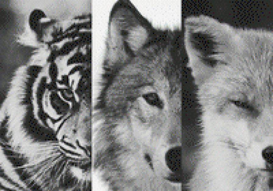 Спокойствие 2 - предпросмотр