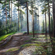 Схема вышивки «в тенистом лесу»