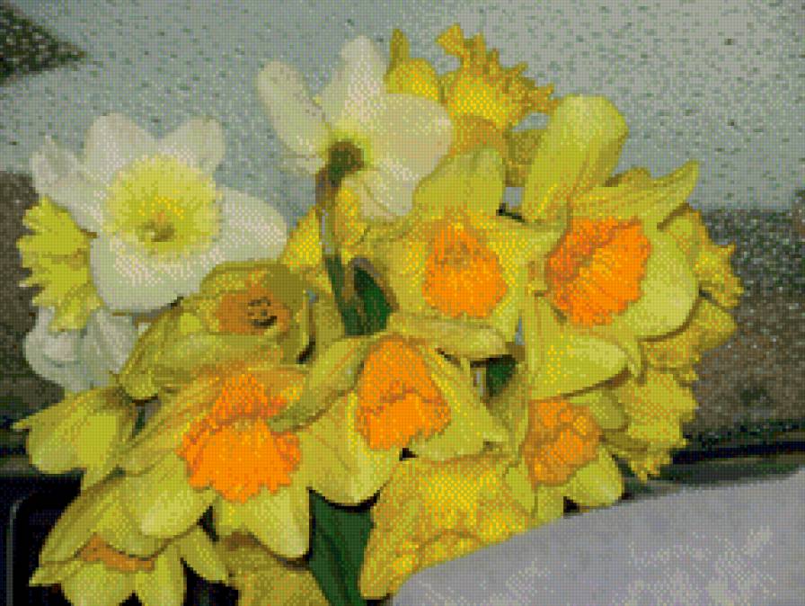 нарцисы - букет, цветы - предпросмотр