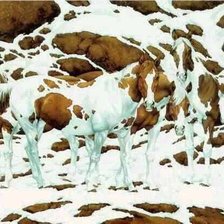 Схема вышивки «konie caballo»