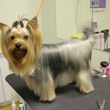 Схема вышивки «№832854»