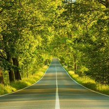 Схема вышивки «№832918»