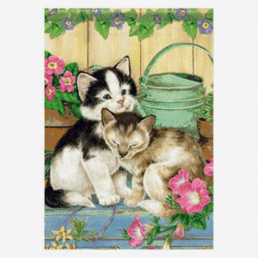 котики - животные, котик, кошки, кошка, котята, кот - предпросмотр