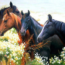 Схема вышивки «№833237»