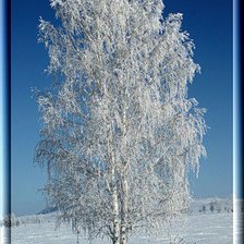 Схема вышивки «Зима»