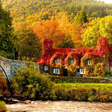 Схема вышивки «осень»