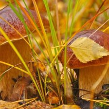 Схема вышивки «осень»