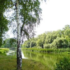 Схема вышивки «Природа»