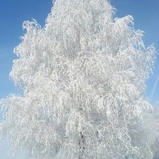 Схема вышивки «Зима»