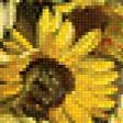 Предпросмотр схемы вышивки «подсолнухи» (№833410)