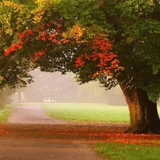 Схема вышивки «осень»