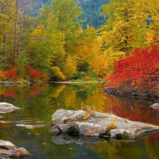 Схема вышивки «осень»