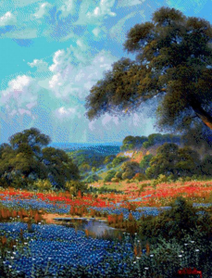 Лето - поле цветы лето природа - предпросмотр