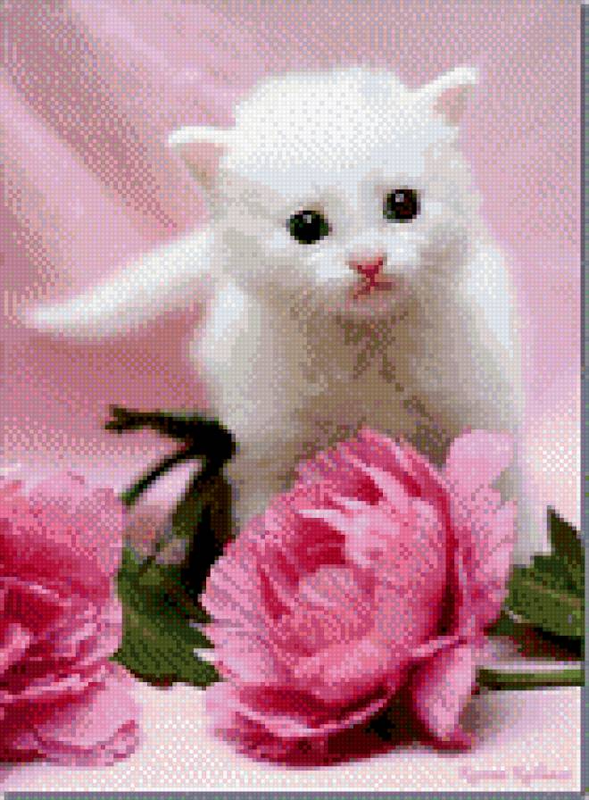 кисуля - розовый, беленький, цвете, лапонька - предпросмотр