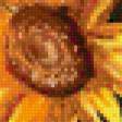 Предпросмотр схемы вышивки «подсолнухи» (№833636)