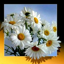 Схема вышивки «Ромашки»