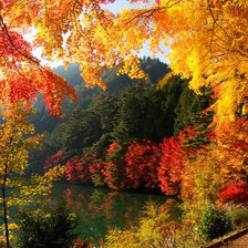 Схема вышивки «осень»