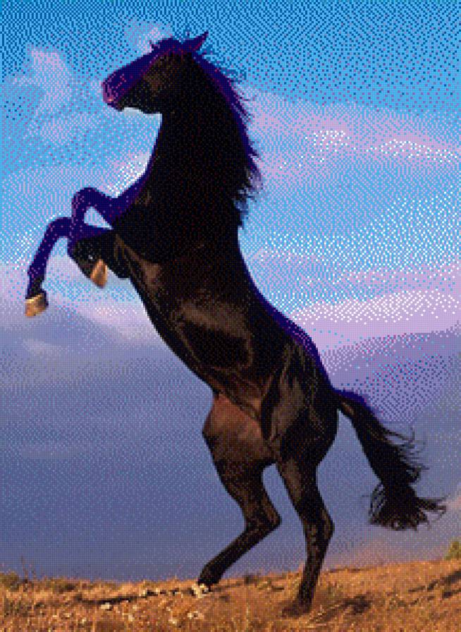 Мустанг - предпросмотр