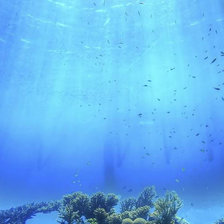 Схема вышивки «Океан»