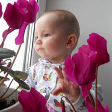 Схема вышивки «Цветок в цветке»